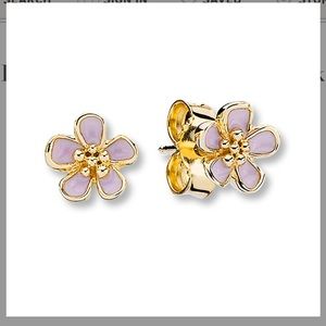 Pandora 14k Gold stud earrings